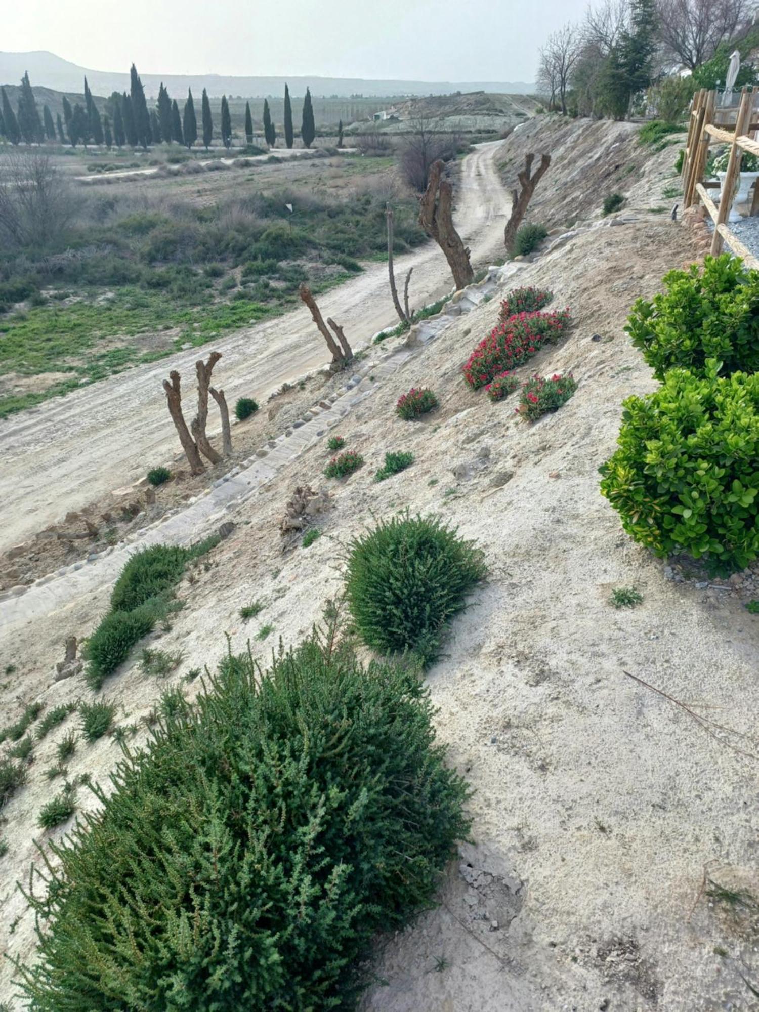 הוילה באזה Cuevas Azul מראה חיצוני תמונה